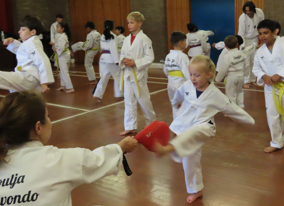 New Eltham Soulja Taekwondo Academy Session Classes Club New Eltham Soulja Taekwondo Academy Session Classes Club