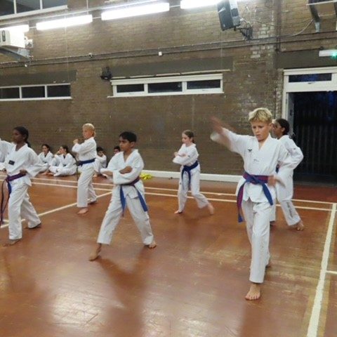 New Eltham Soulja Taekwondo Academy Session Classes Club