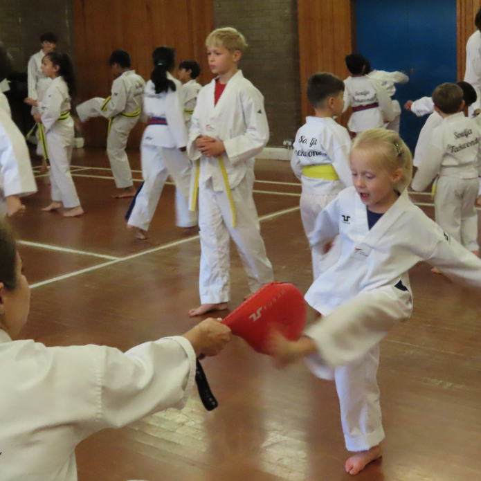 New Eltham Soulja Taekwondo Academy Session Classes Club New Eltham Soulja Taekwondo Academy Session Classes Club